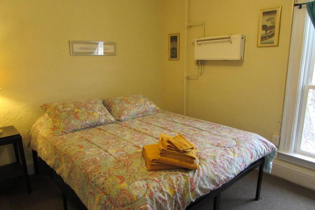 Great Gorge Guesthouse - Walk To The Falls, The Casino And All Downtown Restaurants - Across From The Aquarium Niagarafälle Exterior foto